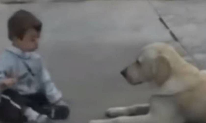 Συγκλονιστικό: Η αντίδραση σκύλου όταν συνάντησε παιδάκι με σύνδρομο down (video)