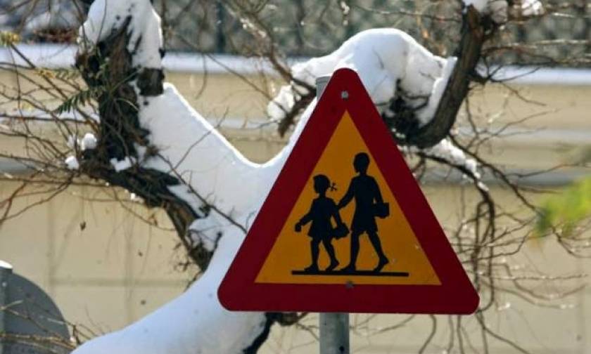 Κακοκαιρία: Κλειστά τα σχολεία σε Φλώρινα