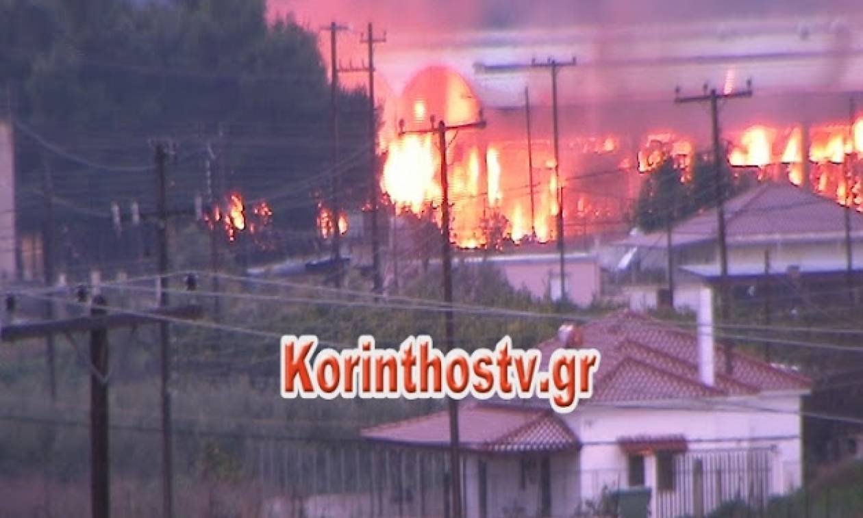 Μεγάλη φωτιά σε εργοστάσιο στην Αρχαία Κόρινθο - Δείτε συγκλονιστικές εικόνες (pics)