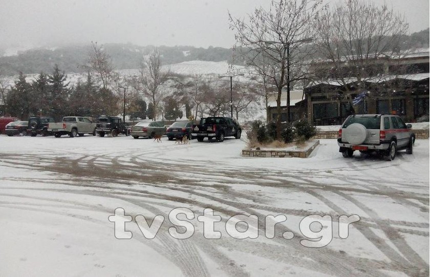 Καιρός: Πυκνό πέφτει το χιόνι στη Φθιώτιδα - Κλειστά τα σχολεία στο Δομοκό (photos)