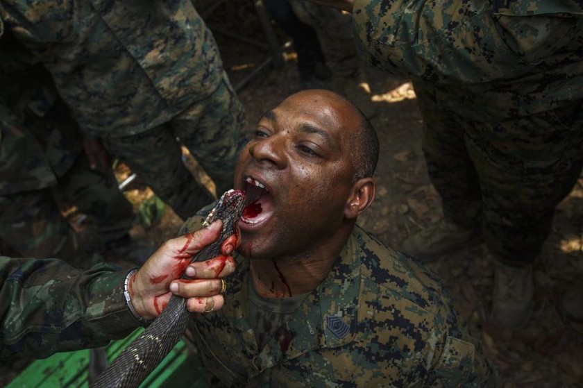 Τα πιο σκληρά στρατιωτικά «καψόνια» στον κόσμο – Εκπαίδευση στα όρια (pics)