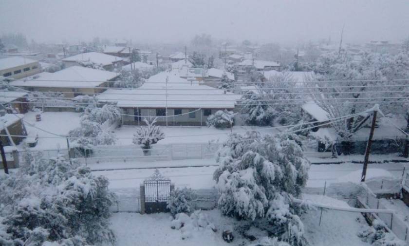 Καιρός: Κλειστά τα σχολεία στη Φθιώτιδα – Δείτε πού έχει φτάσει το χιόνι στη Λαμία (pics)