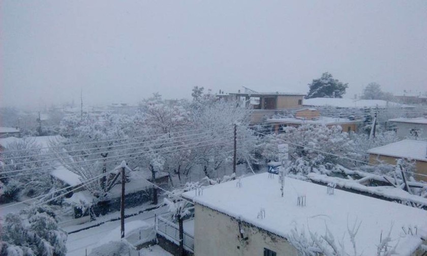Καιρός: Κλειστά τα σχολεία στη Φθιώτιδα – Δείτε που έχει φτάσει το χιόνι στη Λαμία (pics)