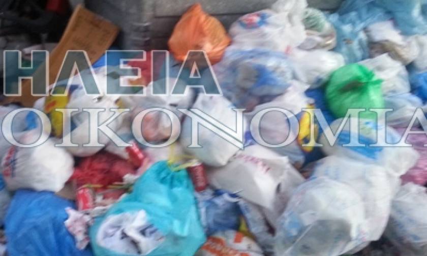 Ηλεία: Πήγαν να μαζέψουν τα σκουπίδια… και δεν πίστευαν στα μάτια τους! (photos)
