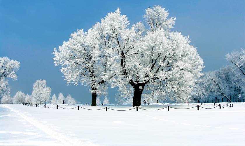 Η ομορφιά του χειμώνα σε 20 φωτογραφίες από όλον τον κόσμο