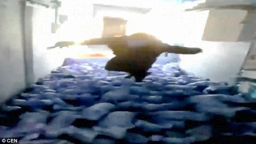 Βίντεο – σοκ: Υπέρβαρος συνθλίβει μέχρι θανάτου γουρουνάκια πηδώντας πάνω τους! 