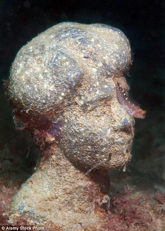  Εντυπωσιακές εικόνες από το υποβρύχιο μουσείο της Κριμαίας (pics)