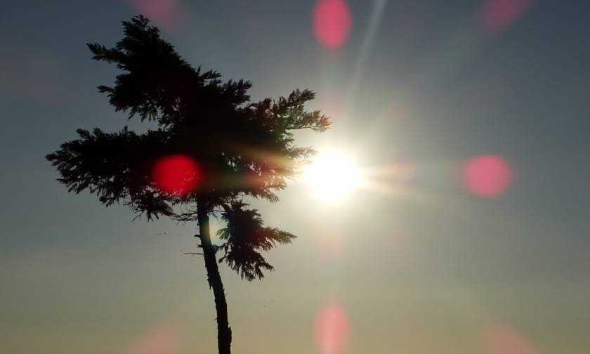 Καιρός: Αλκυονίδες μέρες το Σαββατοκύριακο - Ήλιος και υψηλές θερμοκρασίες