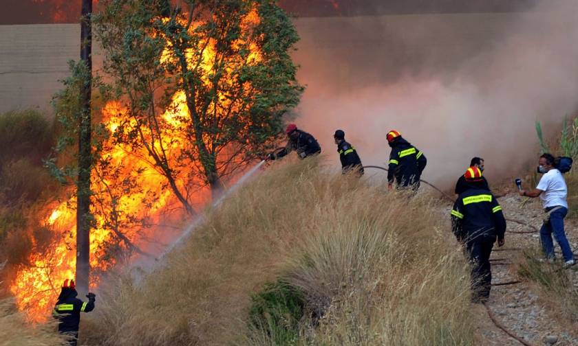 Λαμία: Συναγερμός για φωτιά κοντά σε πλατανόδασος