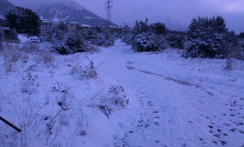 Χαλκιδική: Πυκνή χιονόπτωση τα ξημερώματα - Πού είναι απαραίτητες οι αντιολισθητικές αλυσίδες