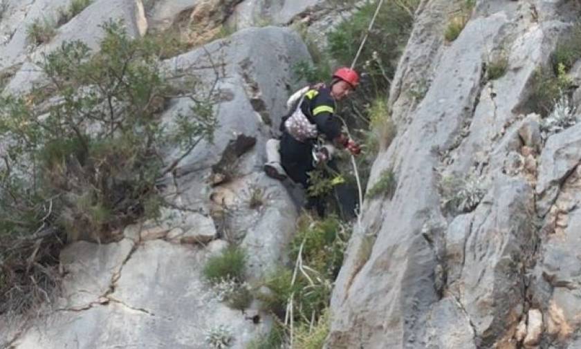 Ιωάννινα: Νεκρός εντοπίστηκε ο αγνοούμενος ορειβάτης