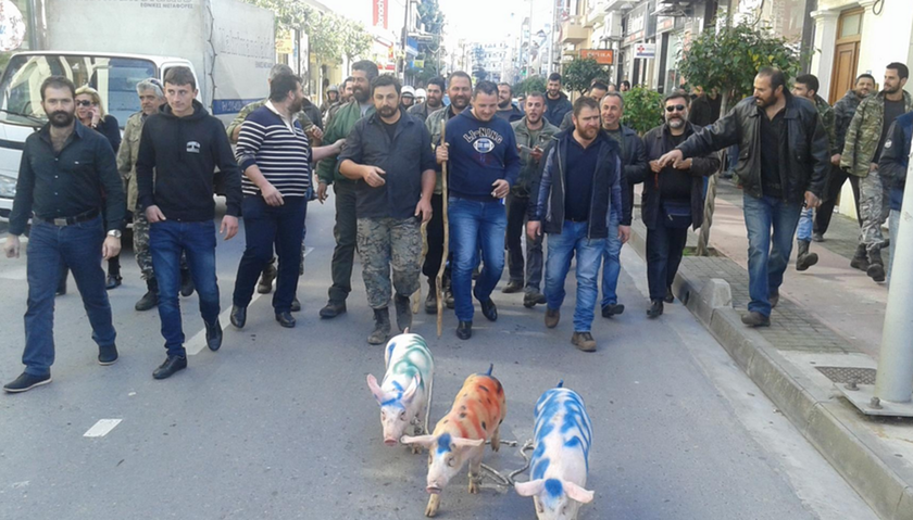 Ρέθυμνο: Πορεία με γουρούνια στο κέντρο της πόλης έκαναν οι αγρότες (pics&vids)