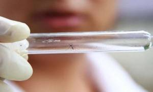Ο ιός Ζίκα παραμένει στο σπέρμα για καιρό μετά την εξαφάνιση των συμπτωμάτων