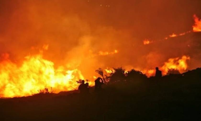 Συναγερμός για την ανεξέλεγκτη φωτιά στην ορεινή Τριφυλία