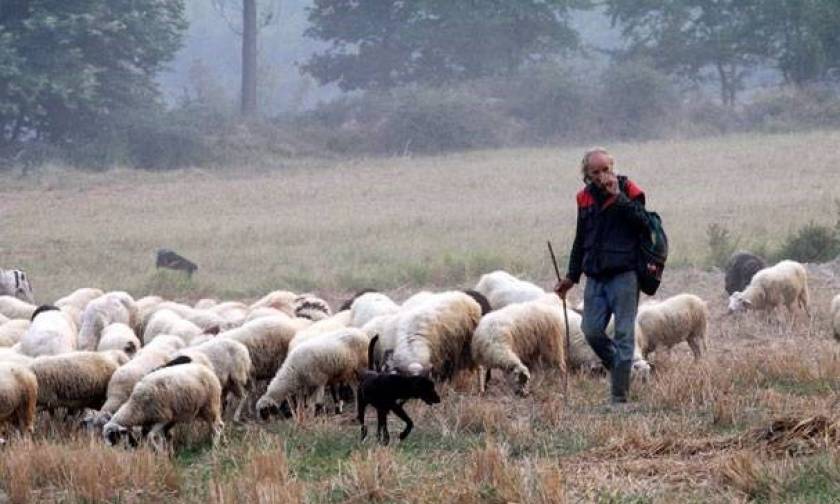 Συνάντηση με τον Τσίπρα ζητούν και οι κτηνοτρόφοι της Θεσσαλίας
