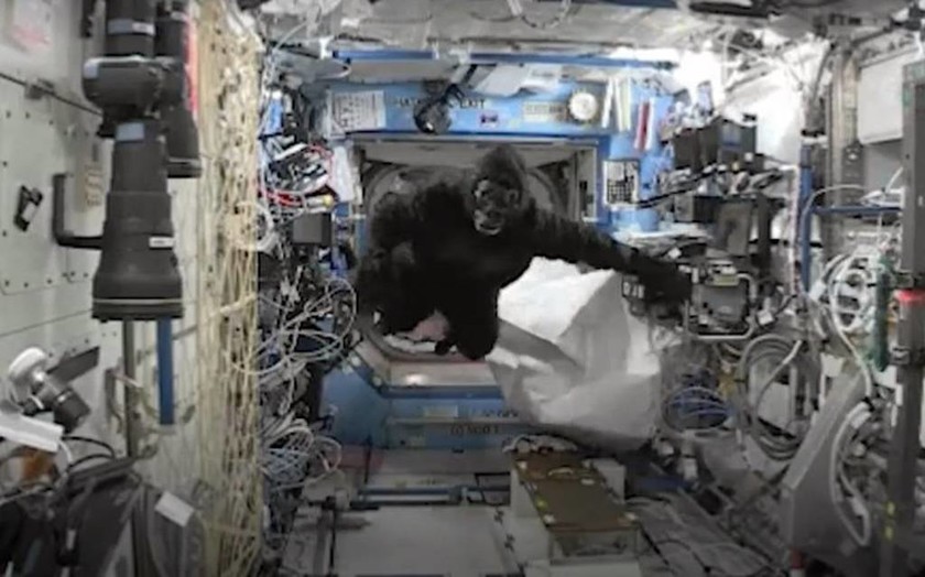 Σκοτ Κέλι: Ο εντυπωσιακός «ένας χρόνος στο διάστημα» (pics+vid)