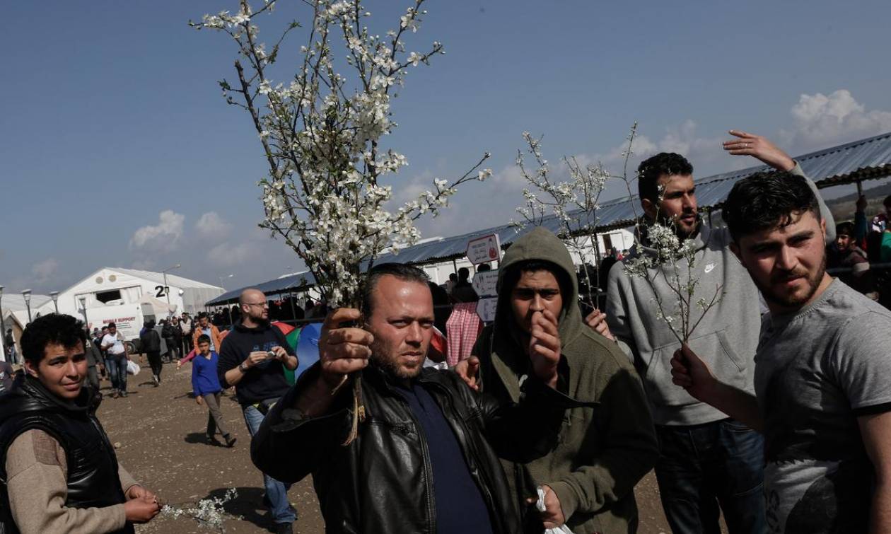 Ειδομένη: Πρόσφυγες έπλεξαν με λουλούδια τον φράχτη για να γιορτάσουν την άνοιξη