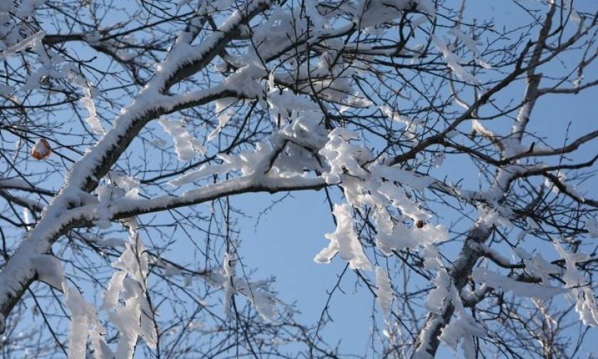 Καιρός: Έντονα καιρικά φαινόμενα τις επόμενες ημέρες – Πού και πότε θα χιονίσει
