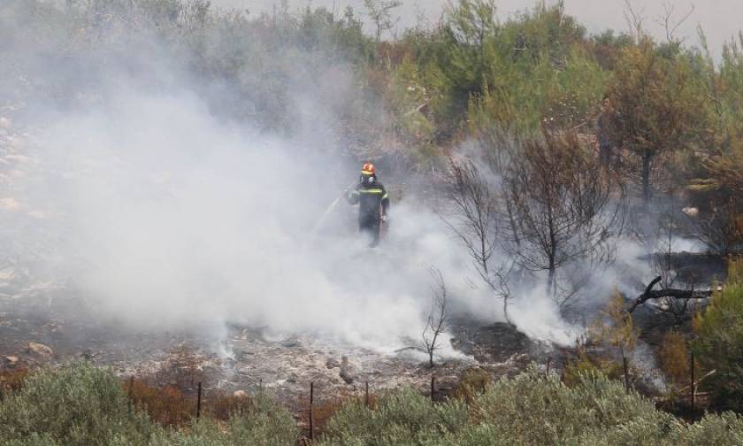 Ηλεία: Πάνω από 60 πυρκαγιές σε 72 ώρες