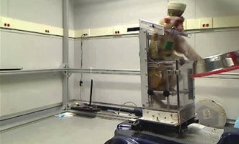 Μαϊμού οδηγεί αναπηρικό καροτσάκι μόνο με σκέψη! (εικόνες - βίντεο)