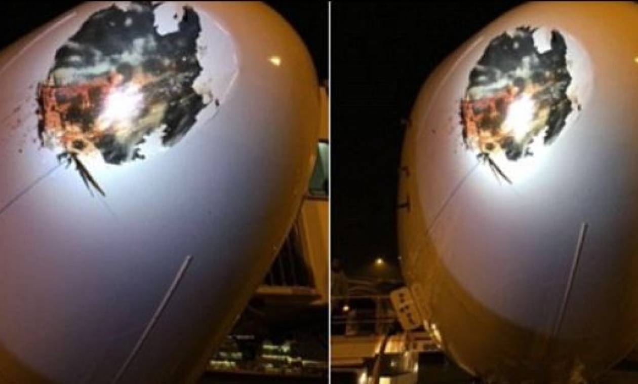 Λονδίνο: Τρομακτική σύγκρουση αεροπλάνου με πτηνό (pics)