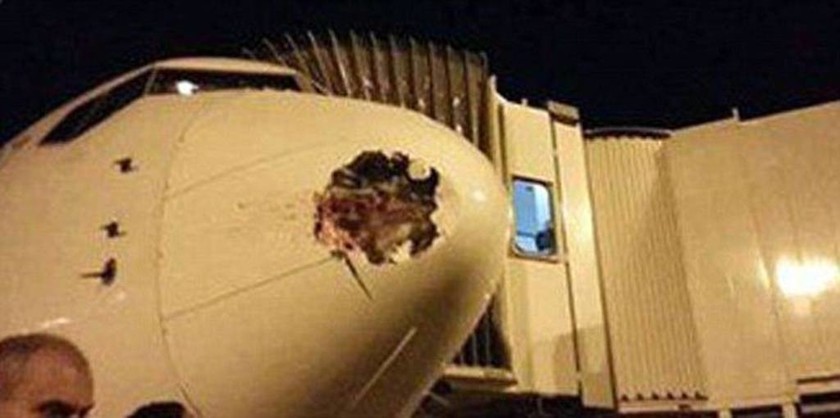 Λονδίνο: Τρομακτική σύγκρουση αεροπλάνο με πτηνό (pics)