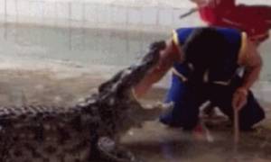 Βίντεο - σοκ: Γλίστρησε και έπεσε στο λάκκο με τους κροκόδειλους!