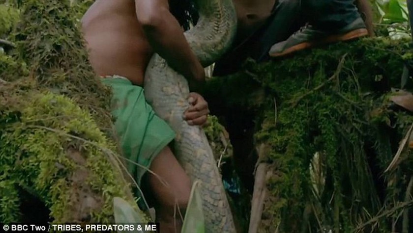 Αμαζόνιος: Ήρθε αντιμέτωπος με το «μεγαλύτερο φίδι στον κόσμο» (pics+vid)