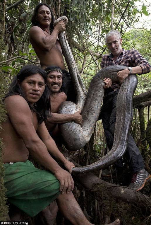 Αμαζόνιος: Ήρθε αντιμέτωπος με το «μεγαλύτερο φίδι στον κόσμο» (pics+vid)