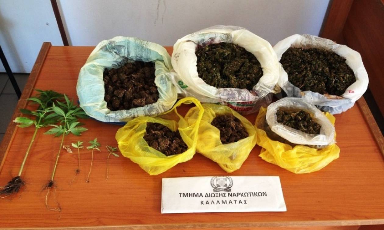 Συνελήφθη 67χρονος στην Τριφυλία με ενάμιση κιλό χασίς