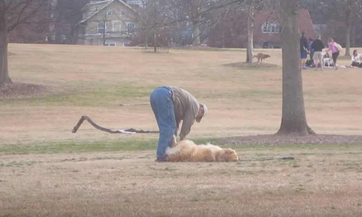 Παράσταση για Όσκαρ: Σκύλος σκαρφίστηκε τον πεθαμένο για να μείνει στο πάρκο! (vid)