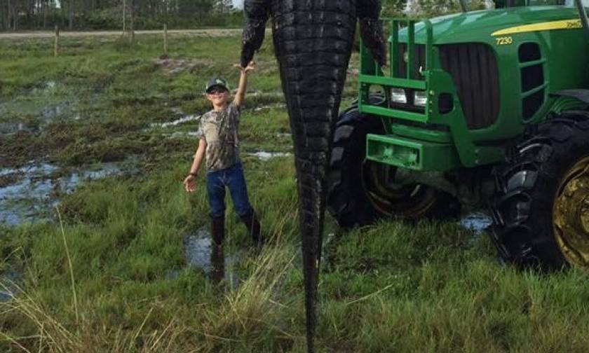 Στα δίχτυα κυνηγών ο τεράστιος αλιγάτορας που έτρωγε αγελάδες – Δείτε την απίστευτη φωτογραφία