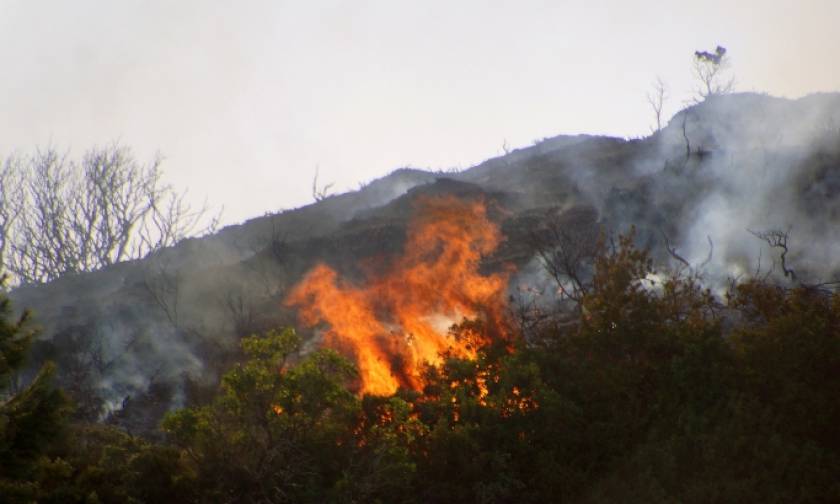Μεγάλη πυρκαγιά σε εξέλιξη στην Ιεράπετρα