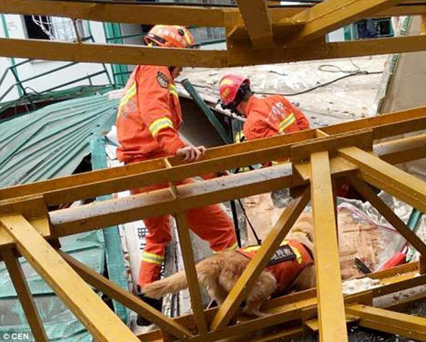 Τραγωδία στην Κίνα: Γερανός καταπλάκωσε δεκάδες εργάτες - Τουλάχιστον 12 νεκροί (pics)