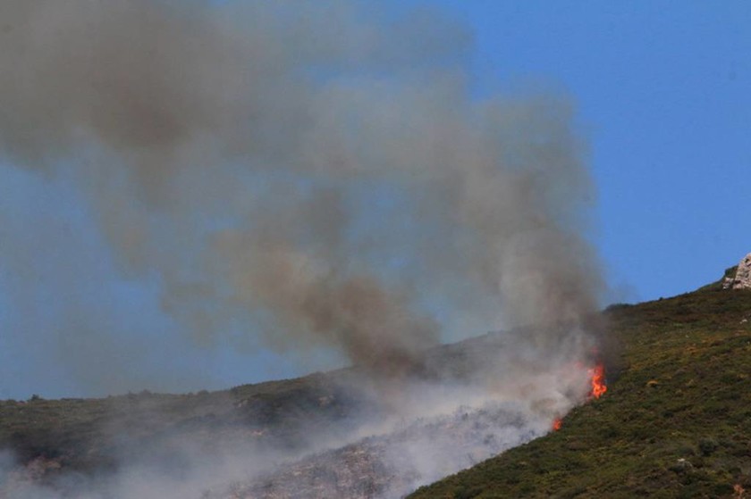 Συμβαίνει τώρα: Μεγάλη φωτιά μαίνεται στην Αργολίδα (pics)