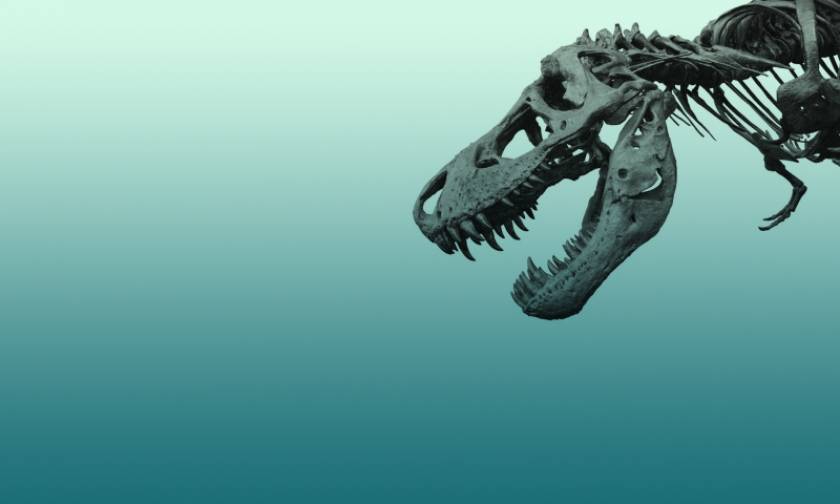Ανατροπή όσων γνωρίζαμε για τη ζωή των δεινοσαύρων στον πλανήτη – Τι αποκαλύπτει νέα μελέτη (Vid)