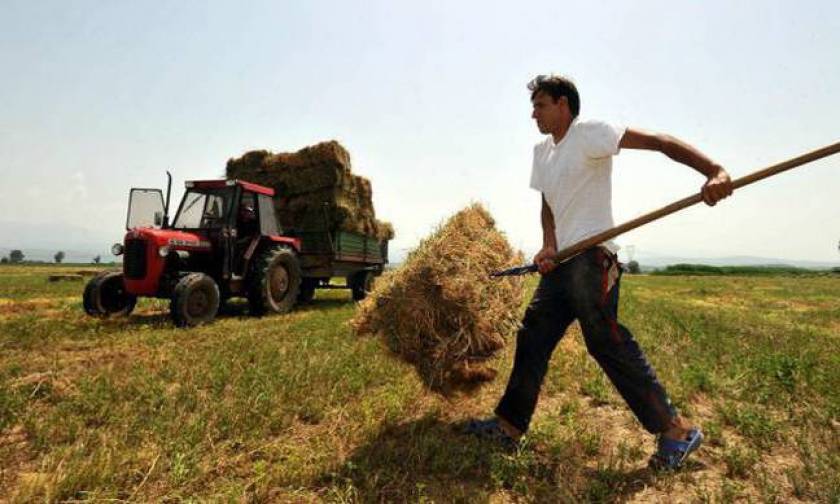 ΟΠΕΚΕΠΕ - Αγροτικές επιδοτήσεις: Άνοιξε το σύστημα για τον έλεγχο με το ΑΦΜ