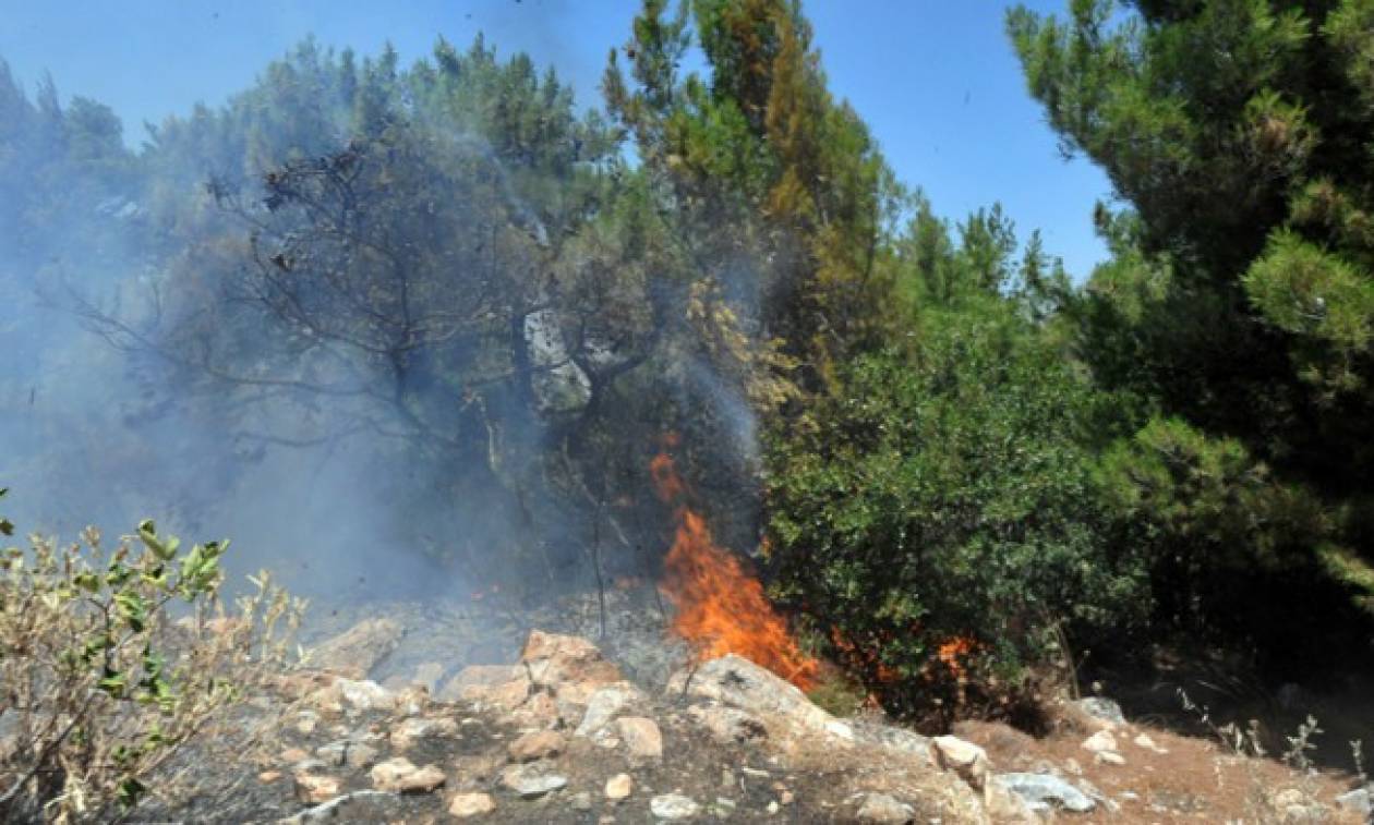 Ηράκλειο: Υπό έλεγχο η πυρκαγιά στα Καλύβια