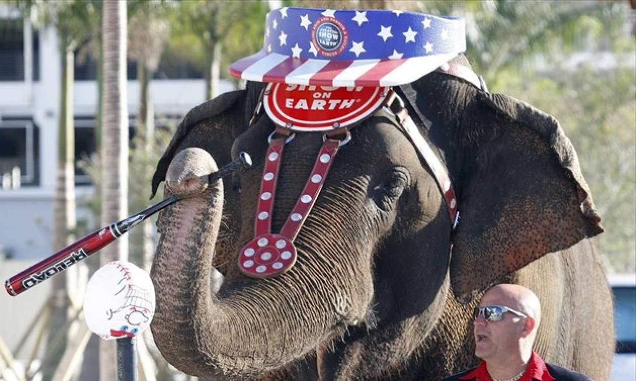 Τέλος οι παραστάσεις με ελέφαντες σε ένα από τα μεγαλύτερα τσίρκα των ΗΠΑ