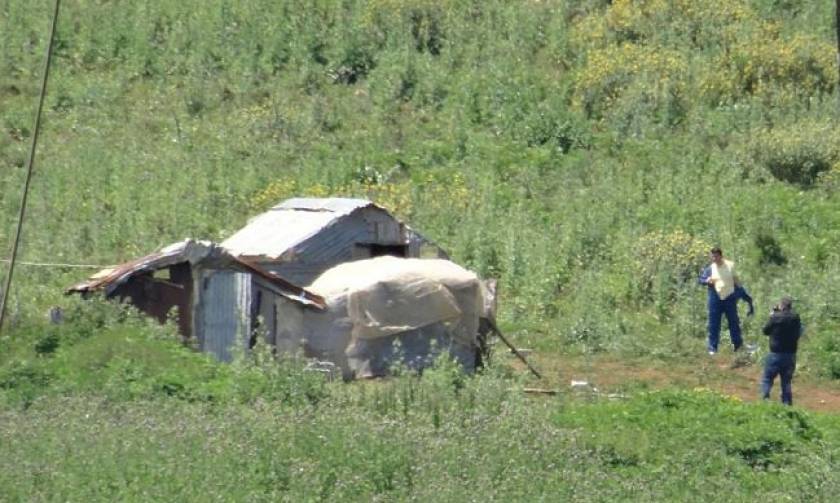 Θεσπρωτία: Ποιοι συνελήφθησαν για την υπόθεση με το αποκεφαλισμένο πτώμα