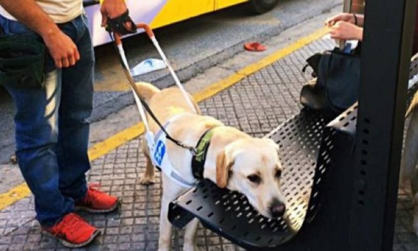 Δεν έχει προηγούμενο: Οδηγός λεωφορείου κατέβασε τυφλή γυναίκα λόγω του σκύλου-οδηγού της (pic)