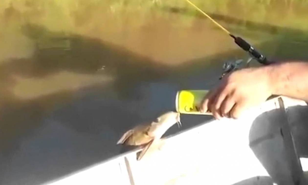 Αυτό και αν είναι απίστευτο: Ψάρι βγήκε έξω από το νερό για να πιει… μπίρα! (video)