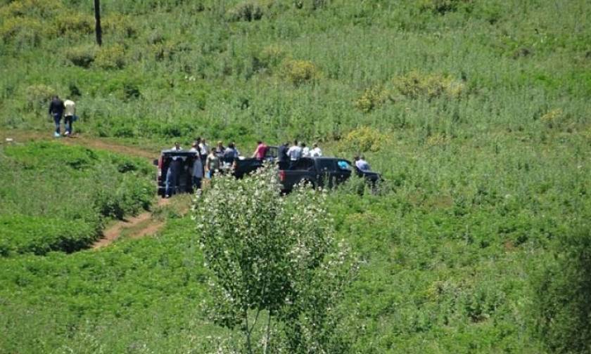Θεσπρωτία: Αυτός είναι ο 25χρονος που βρέθηκε αποκεφαλισμένος (photo)