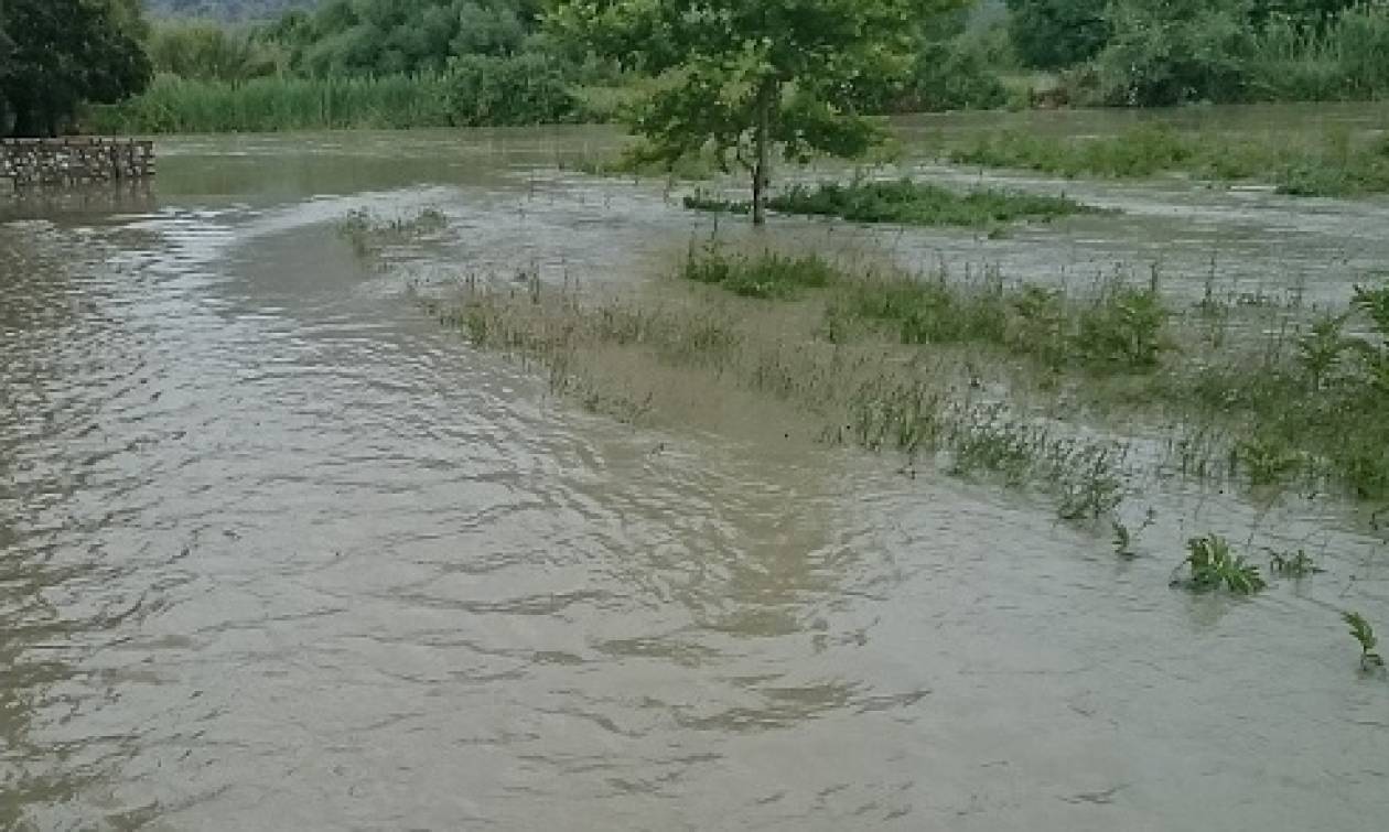 Πρέβεζα: Ο ποταμός Αχέροντας «κατάπιε» χωράφια στο Σταυροχώρι (pics - video)