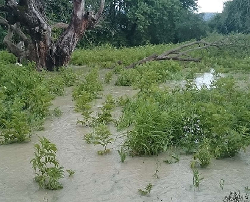 Πρέβεζα: Ο ποταμός Αχέροντας «κατάπιε» χωράφια στο Σταυροχώρι (pics - video)