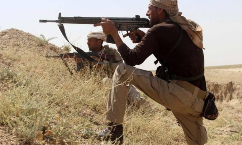 Falluja assault: Iraq PM announces beginning of military operation
