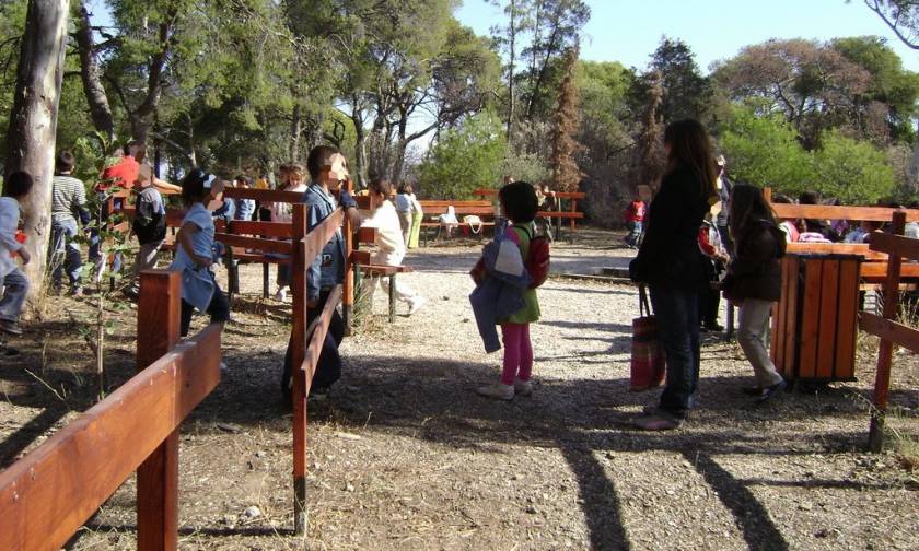 Παιδικές κατασκηνώσεις: Έως τις 31 Μαΐου οι αιτήσεις για κατοίκους του δήμου Αθηναίων