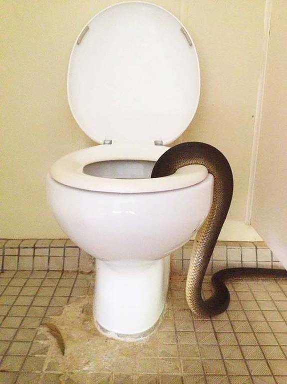 Ανατριχιαστική έκπληξη: Δείτε τι συνάντησε όταν πήγε στις γυναικείες τουαλέτες photos)