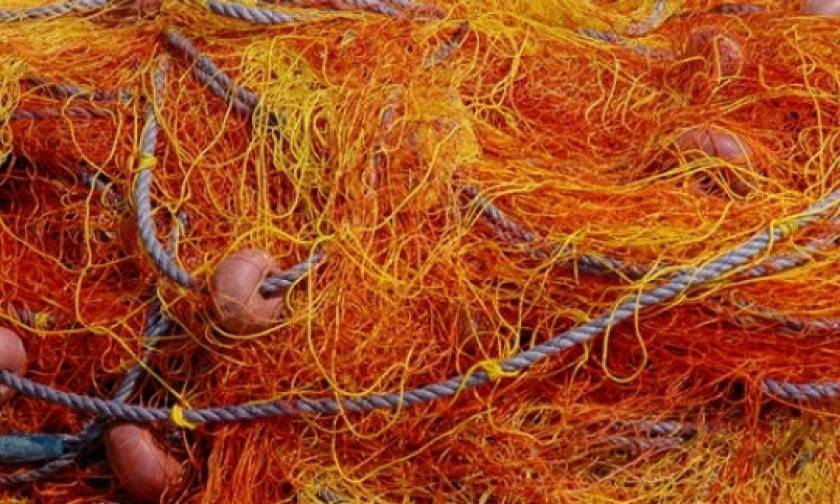 Σοκαρισμένοι οι ψαράδες στη Ρόδο - Δεν πίστευαν στα μάτια τους με αυτό που αντίκρισαν στα δίχτυα