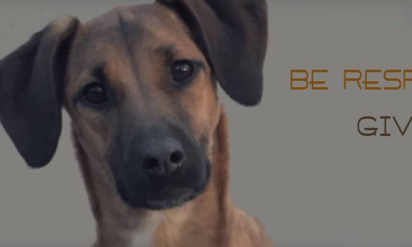 Αυτό το βίντεο ΠΡΕΠΕΙ να το δουν όσοι έχουν σκύλο!
